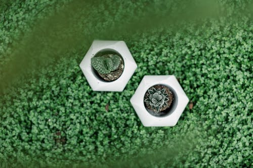 En iyi siteler bahis