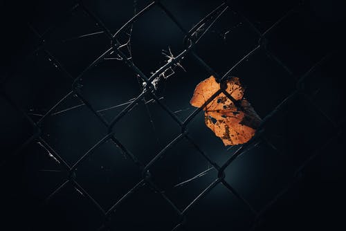 Ilk uyelik bonusu veren bahis siteleri